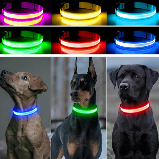 PawLight™ | LED-hondenriem voor nachtelijke wandelingen