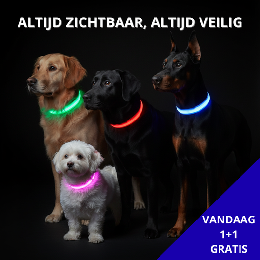 PawLight™ | LED-hondenriem voor nachtelijke wandelingen